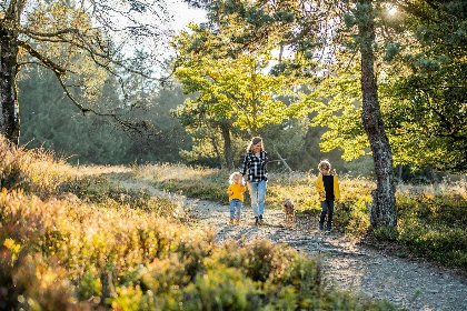 062 Appartement   Winterbergerstrasse 3, nr. 511 | Neuastenberg