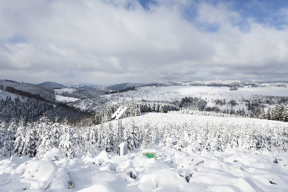 015 Ruime12 persoons vakantiewoning met sauna in Winterberg