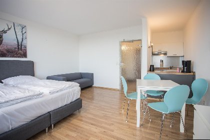 041 Studio   Am Waltenberg 57 S | Winterberg (Centrum)