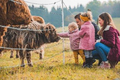 044 Vakantiehuis 'Rothaargluck' in Sauerland met uitzicht | 2 persoons appartement   am Gerkenstein 27 Neuastenberg