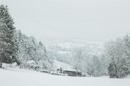 019 Studio   Zum Hohlen Rain 11 | Zuschen