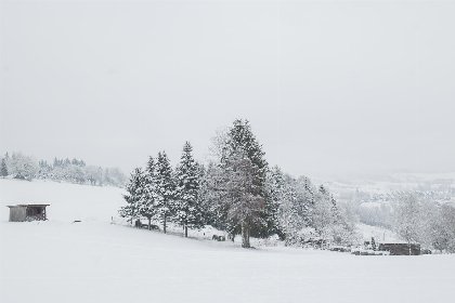 061 Vakantiehuisje Winterberg: Comfortabel Verblijf voor 5 Personen | Appartement   Am Roten Kreuz 11 | Zuschen