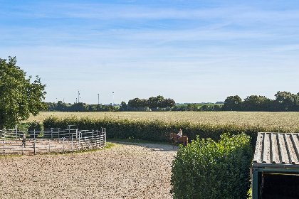 011 Am Pferdehof II