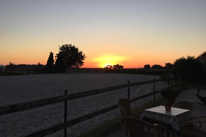 016 Am Pferdehof II