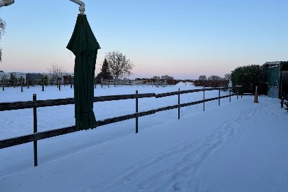023 Am Pferdehof II