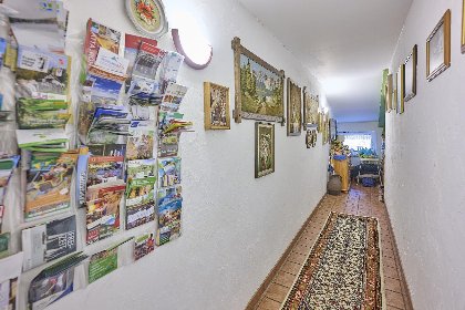 018 Am Damwildgehege I