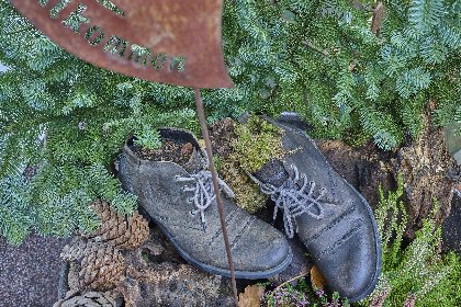 031 Am Damwildgehege I