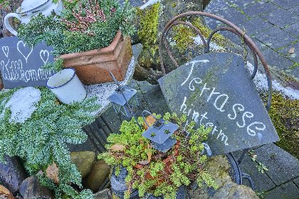 034 Am Damwildgehege I