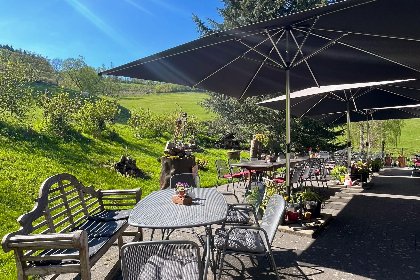 035 Am Damwildgehege I