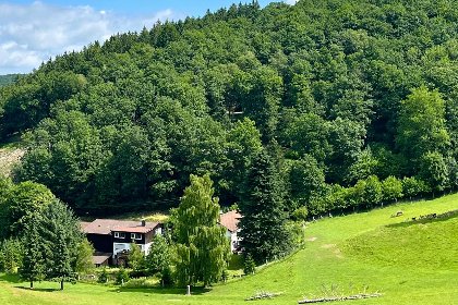 036 Am Damwildgehege I