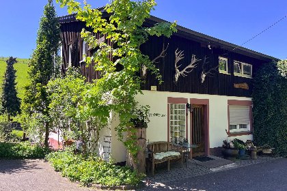 037 Am Damwildgehege I