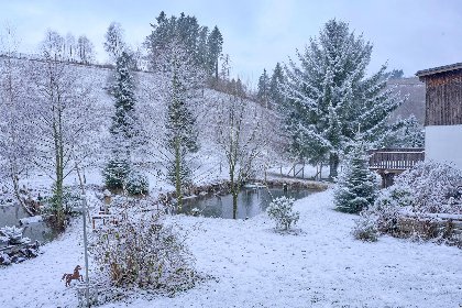 042 Am Damwildgehege I