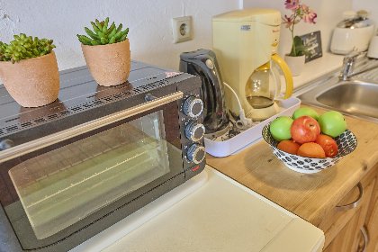 013 Am Damwildgehege II