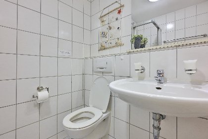 018 Am Damwildgehege II