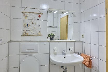 019 Am Damwildgehege II