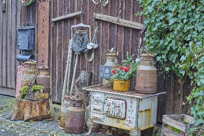 023 Am Damwildgehege II