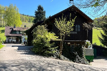 026 Am Damwildgehege II