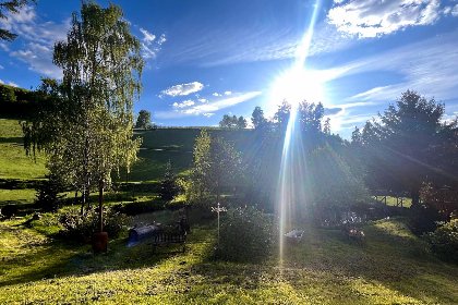 027 Am Damwildgehege II