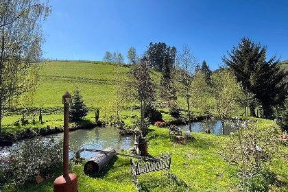 028 Am Damwildgehege II