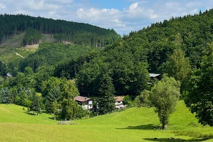 029 Am Damwildgehege II