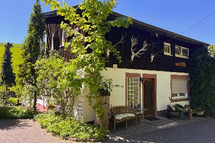 030 Am Damwildgehege II