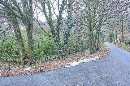 031 Am Damwildgehege II