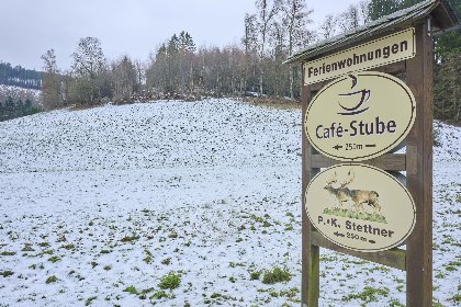 035 Am Damwildgehege II