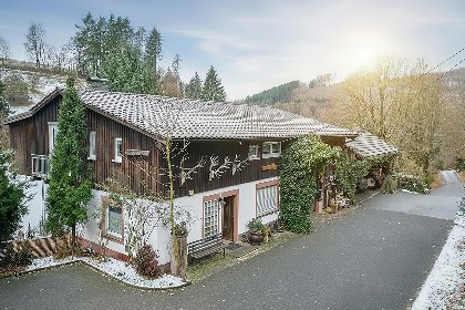 037 Am Damwildgehege II