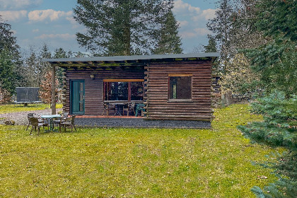 001 Forest Cabin