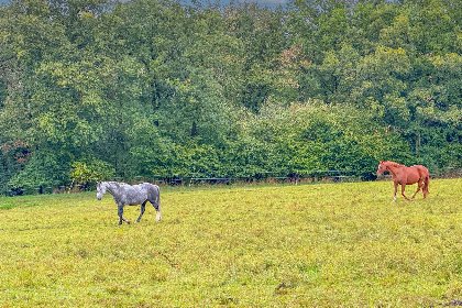 015 Panoramablick 015 Panoramablick
