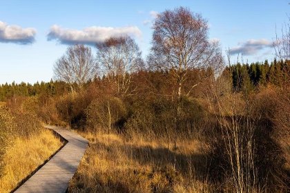 033 Der Lebendige Garten