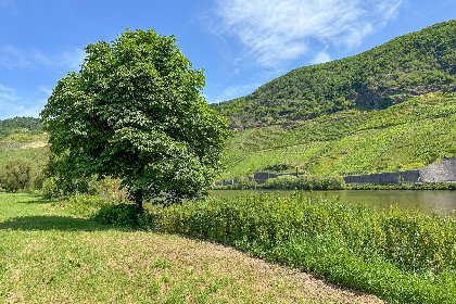 028 Ferienweingut Emmerich