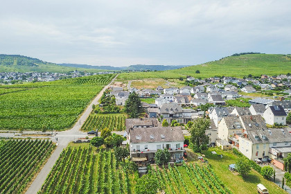 015 Hermes Lex Weingut