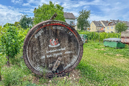 022 Hermes Lex Weingut