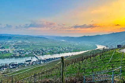 027 Hermes Lex Weingut