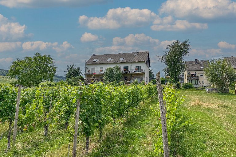 Duitsland, Rheinland-Pfalz, Trittenheim