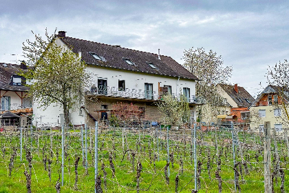 Duitsland, Rheinland-Pfalz, Trittenheim