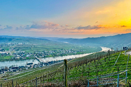028 Weingut HermesLex