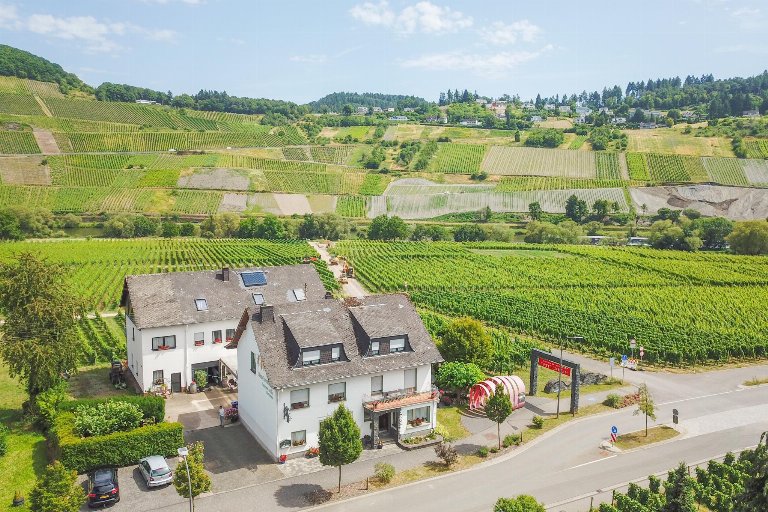 Duitsland, Rheinland-Pfalz, Trittenheim
