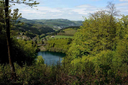 008 Prachtig 18 persoons vakantiehuis in een idyllisch dorp in de Eifel