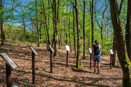 009 Prachtig 18 persoons vakantiehuis in een idyllisch dorp in de Eifel