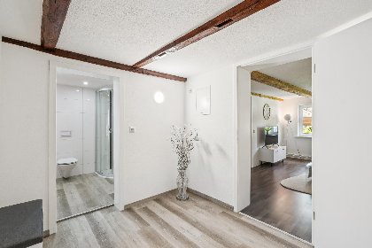 015 Modern apartments harz I