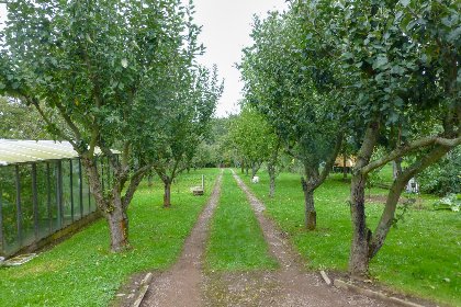 008 Im Harz 008 Im Harz