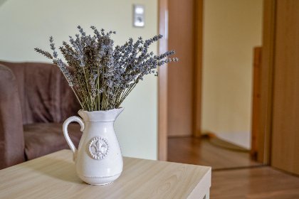 008 Leana   Sachsische Schweiz