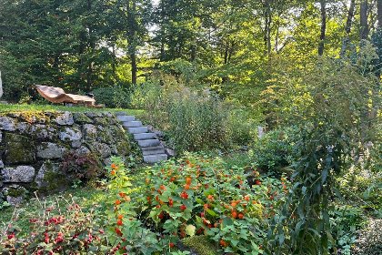 027 Forsthaus Heinrichsbach