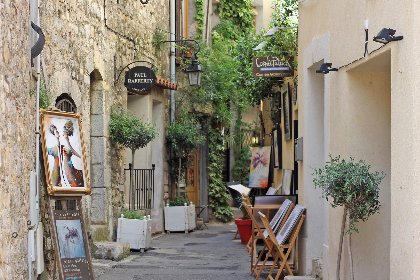 053 Les Palmiers