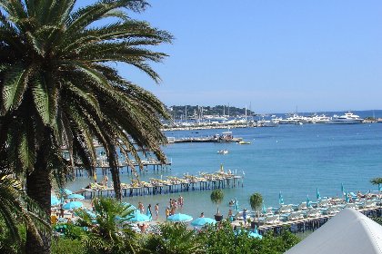 054 Les Palmiers