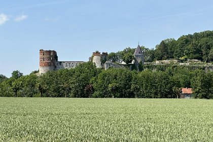 050 La Tulipe