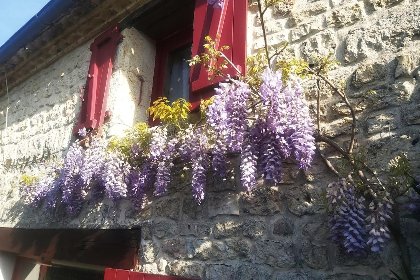 029 Le Bonheur