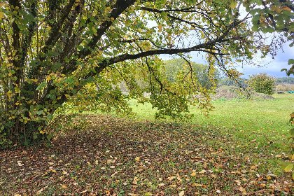 022 Maison des Prairies